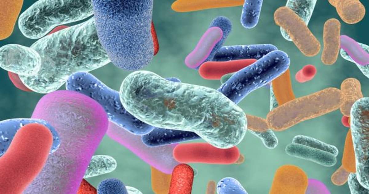 Tópicos de microbiota en nutrición y salud