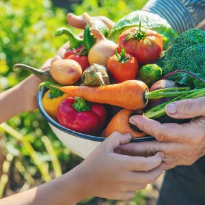 Magíster en Alimentación y Nutrición Infanto-Juvenil